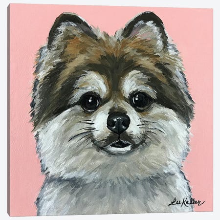 Pomeranian On Pink Canvas Print #HHS456} by Hippie Hound Studios Canvas Wall Art
