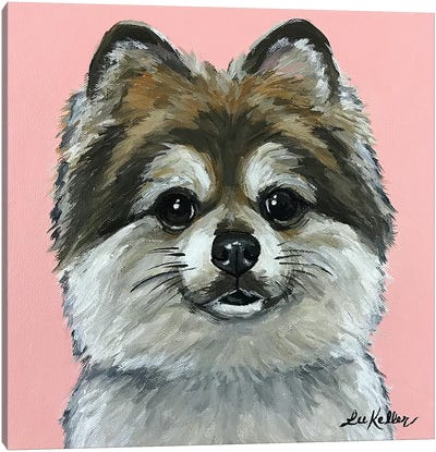 Pomeranian On Pink Canvas Art Print