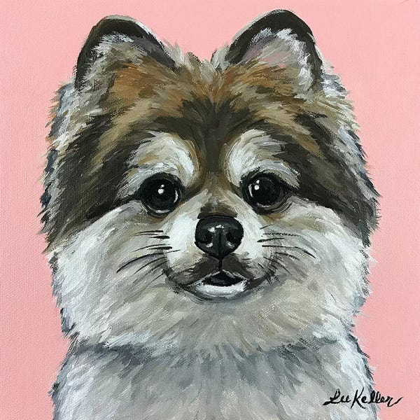 Hippie Hound Studios: Pomeranian On Pink by Hippie Hound Studios