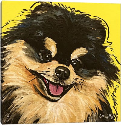 Pomeranian On Yellow Canvas Art Print - Pomeranian Art