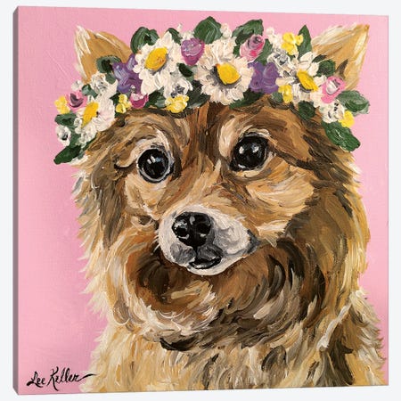 Pomeranian With Flowers Canvas Print #HHS458} by Hippie Hound Studios Art Print