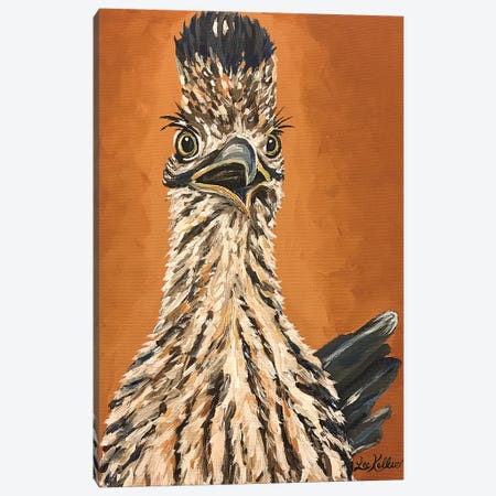 Roadrunner Painting Canvas Print #HHS467} by Hippie Hound Studios Canvas Print