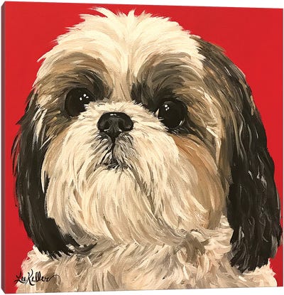 Shih Tzu On Red Canvas Art Print - Best Selling Dog Art