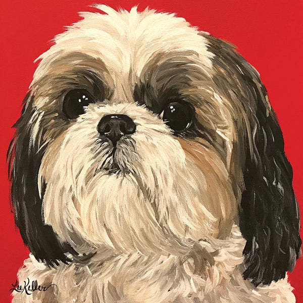 Shih Tzus: Shih Tzu On Red by Hippie Hound Studios