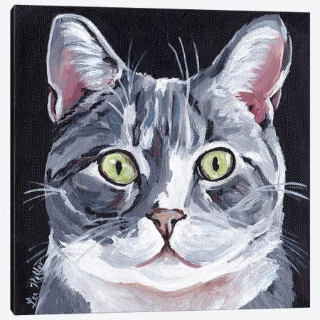 Tabby Cat On Black Canvas Print #HHS483} by Hippie Hound Studios Canvas Art