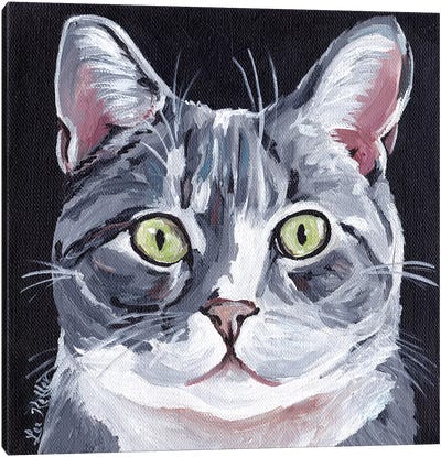 Tabby Cat On Black Canvas Art Print - Tabby Cat Art