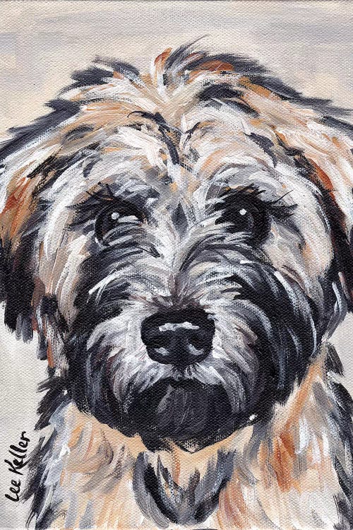 Wheaten Terrier II