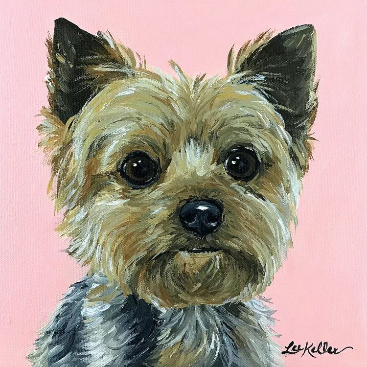 Yorkie Pink by Hippie Hound Studios wall art