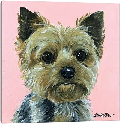 Yorkie Pink Canvas Art Print - Yorkshire Terrier Art