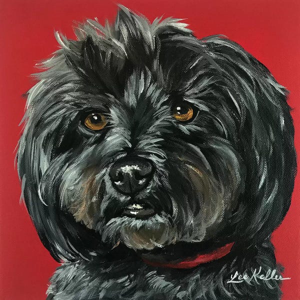 Terriers: Yorkiepoo Bentley by Hippie Hound Studios