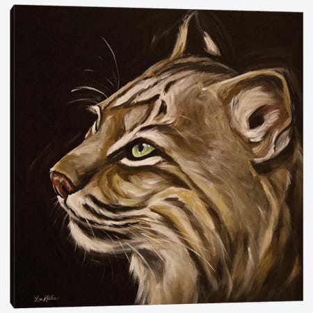 Frankie The Bobcat Canvas Print #HHS496} by Hippie Hound Studios Canvas Artwork