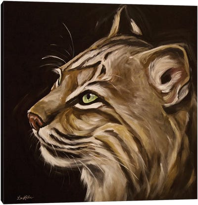 Frankie The Bobcat Canvas Art Print