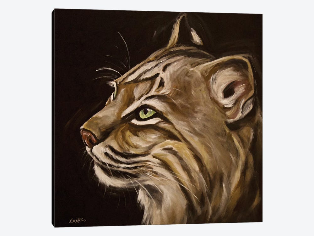Frankie The Bobcat by Hippie Hound Studios 1-piece Canvas Print