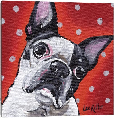 Boston Terrier On Polka Dots Canvas Art Print - Hippie Hound Studios