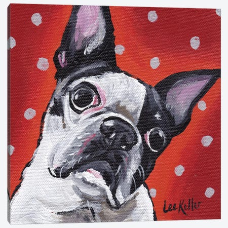 Boston Terrier On Polka Dots Canvas Print #HHS4} by Hippie Hound Studios Art Print