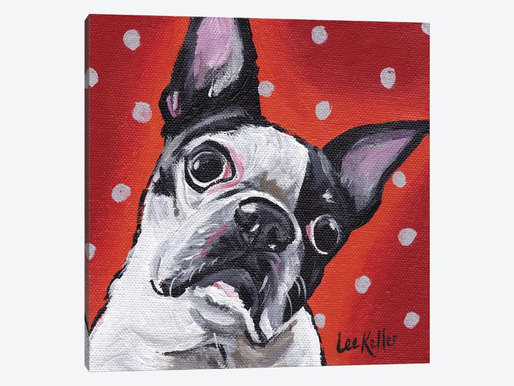 Boston Terrier On Polka Dots by Hippie Hound Studios 1-piece Canvas Wall Art