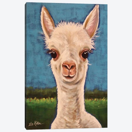 Gus The Alpaca Cria I Canvas Print #HHS507} by Hippie Hound Studios Canvas Wall Art