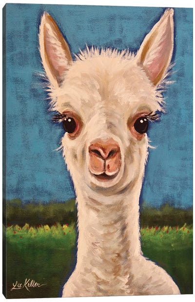 Gus The Alpaca Cria I Canvas Art Print - Llama & Alpaca Art