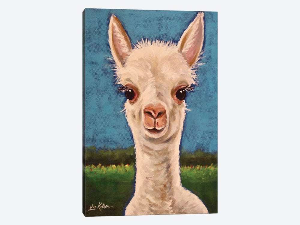 Gus The Alpaca Cria I by Hippie Hound Studios 1-piece Canvas Art