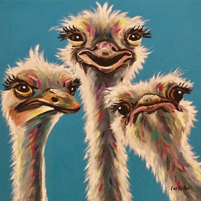 'Always, Ostrich Edition' by Hippie Hound Studios framed wall art