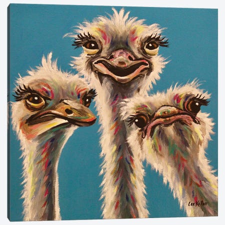 'Always, Ostrich Edition' Canvas Print #HHS511} by Hippie Hound Studios Canvas Wall Art