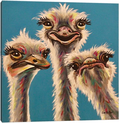 'Always, Ostrich Edition' Canvas Art Print - Ostrich Art