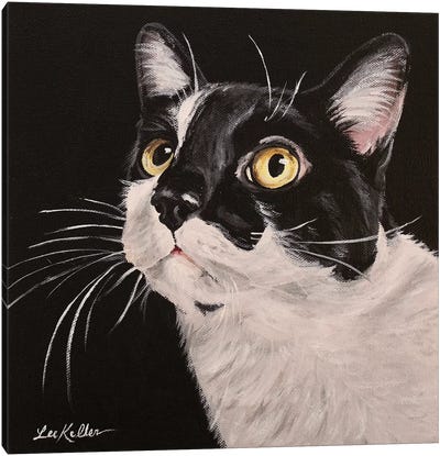 Lex Canvas Art Print - Tuxedo Cat Art