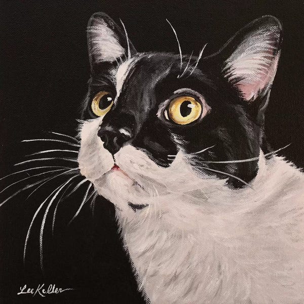 Tuxedo Cats: Lex by Hippie Hound Studios