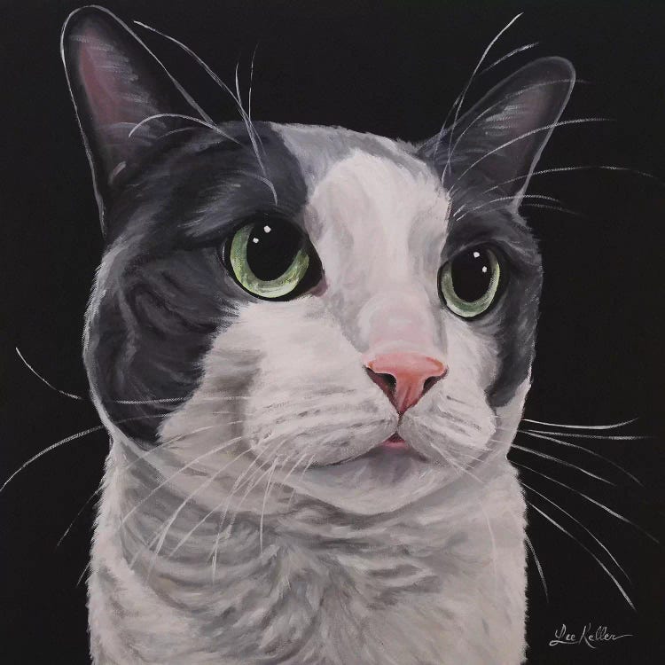 Asher, Grey Tuxedo Cat by Hippie Hound Studios wall art