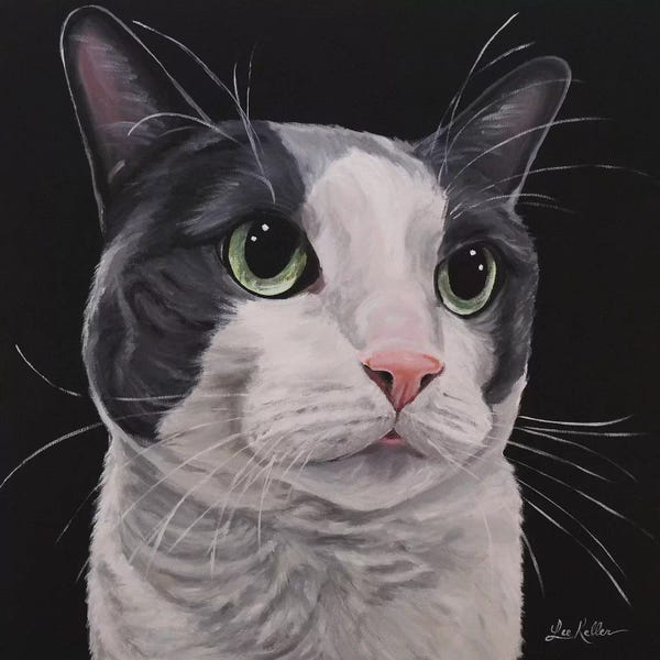 Tuxedo Cats: Asher, Grey Tuxedo Cat by Hippie Hound Studios