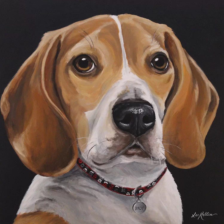 Indy The Beagle by Hippie Hound Studios wall art