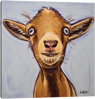 Poundcake The Goat Canvas Art Print - Goat Art
