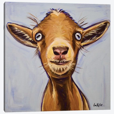 Poundcake The Goat Canvas Print #HHS520} by Hippie Hound Studios Art Print