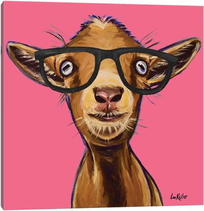 Poundcake The Goat With Glasses Canvas Art Print - Hippie Hound Studios