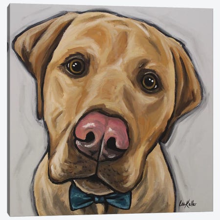 Leroy The Lab With Bowtie Canvas Print #HHS523} by Hippie Hound Studios Canvas Art Print
