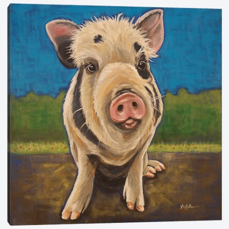 Pua The Rescue Pig Canvas Print #HHS528} by Hippie Hound Studios Canvas Art Print