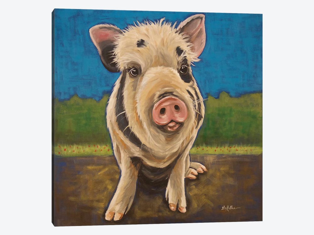 Pua The Rescue Pig by Hippie Hound Studios 1-piece Canvas Print
