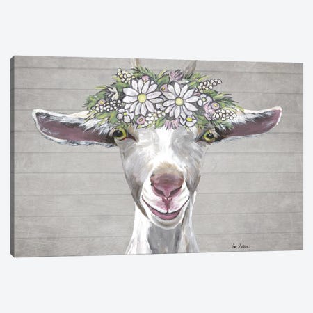 Patsy The Goat With Daisy Flower Crown Canvas Print #HHS532} by Hippie Hound Studios Canvas Wall Art
