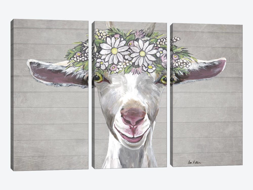 Patsy The Goat With Daisy Flower Crown by Hippie Hound Studios 3-piece Canvas Wall Art