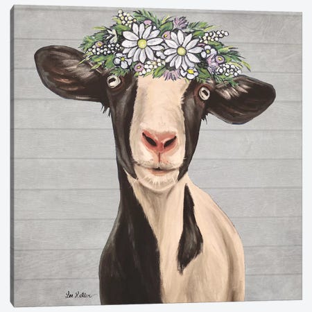 Luna The Goat With Daisies Farmhouse Style Canvas Print #HHS536} by Hippie Hound Studios Canvas Art Print