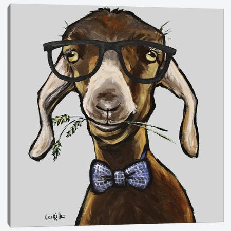 Billy The Kid, Goat With Glasses Canvas Print #HHS542} by Hippie Hound Studios Art Print