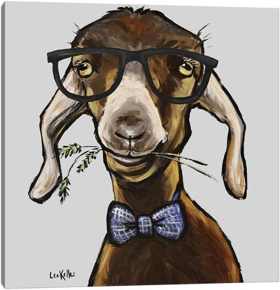 Billy The Kid, Goat With Glasses Canvas Art Print - Goat Art
