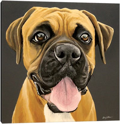 Happy Boxer Canvas Art Print - Boxer Art