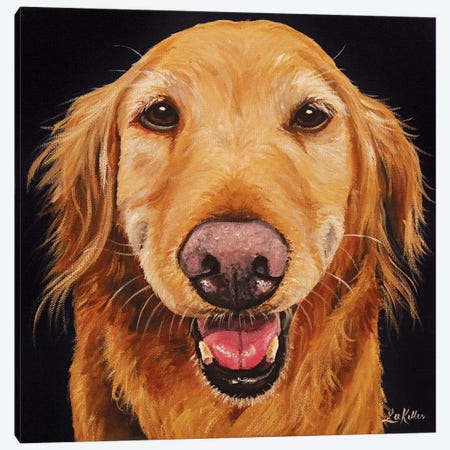 Smiling Golden Retriever On Black Canvas Print #HHS548} by Hippie Hound Studios Canvas Art Print