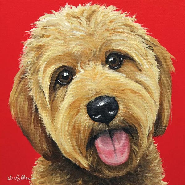 Hippie Hound Studios: Apricot Golden Doodle On Red by Hippie Hound Studios