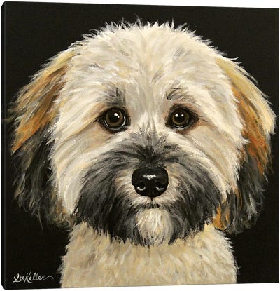Wheaten Terrier On Black Canvas Art Print