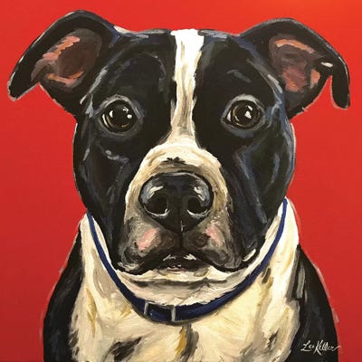 Pit Bull by Hippie Hound Studios metal wall art