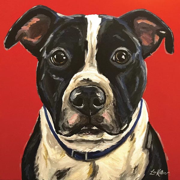 Pit Bulls: Pit Bull by Hippie Hound Studios