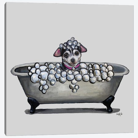 Dogs In Tubs Series, Chihuahua In Bathtub Canvas Print #HHS595} by Hippie Hound Studios Canvas Print