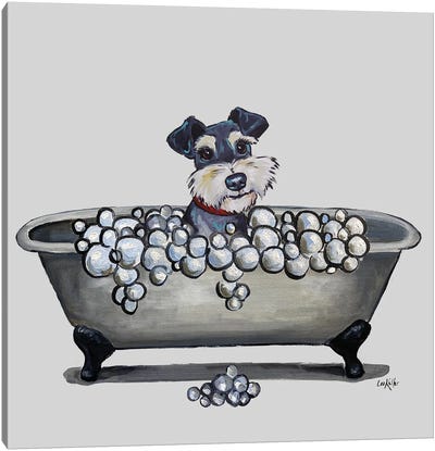 Dogs In The Tub Series, Schnauzer In Bathtub Canvas Art Print - Schnauzer Art